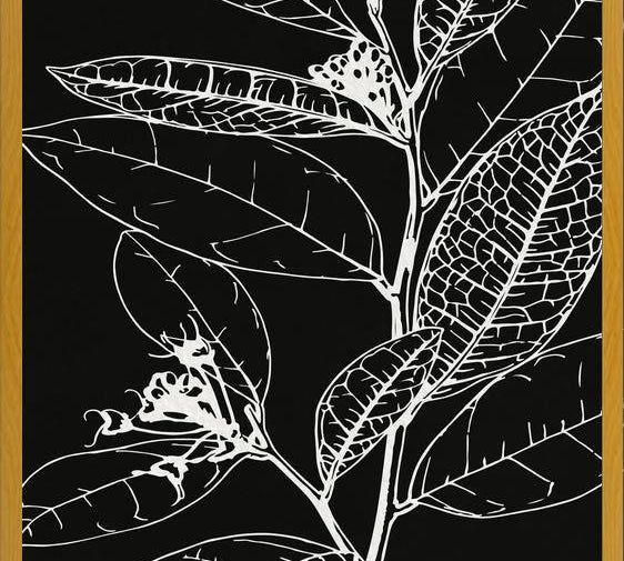 Cuadro LEAVES IN LINE - BLACK