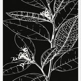 Cuadro LEAVES IN LINE - BLACK