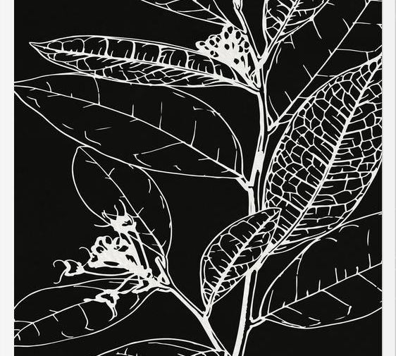 Cuadro LEAVES IN LINE - BLACK