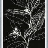 Cuadro LEAVES IN LINE - BLACK
