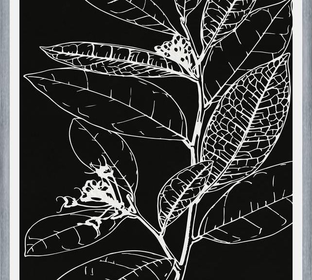Cuadro LEAVES IN LINE - BLACK
