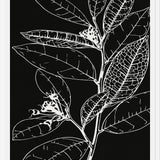Cuadro LEAVES IN LINE - BLACK