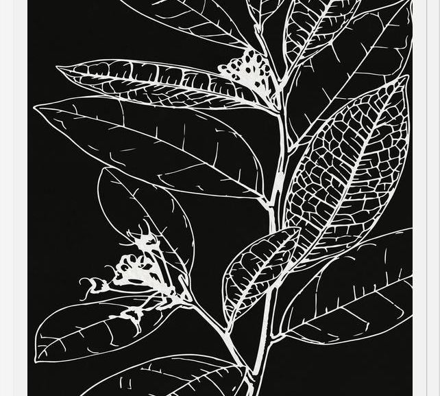 Cuadro LEAVES IN LINE - BLACK