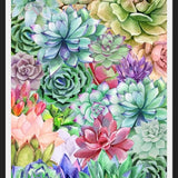 Cuadro Succulents Paradise