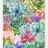 Cuadro Succulents Paradise