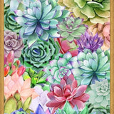 Cuadro Succulents Paradise