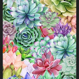 Cuadro Succulents Paradise