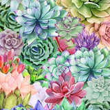 Canvas Succulents Paradise