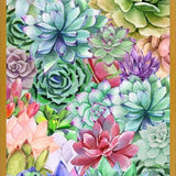 Cuadro Succulents Paradise