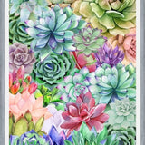 Cuadro Succulents Paradise