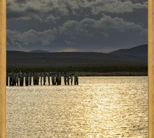 Cuadro Puerto Natales