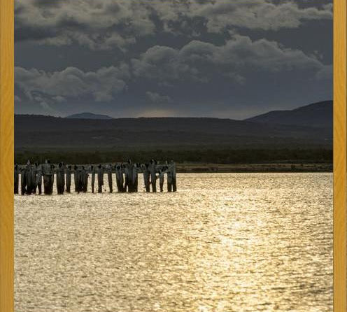 Cuadro Puerto Natales