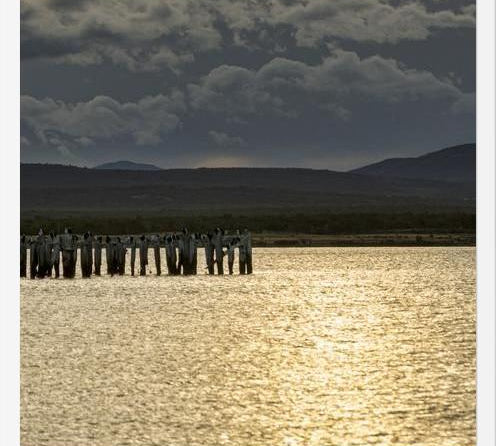 Cuadro Puerto Natales
