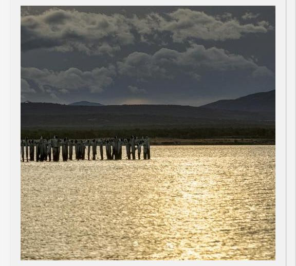 Cuadro Puerto Natales