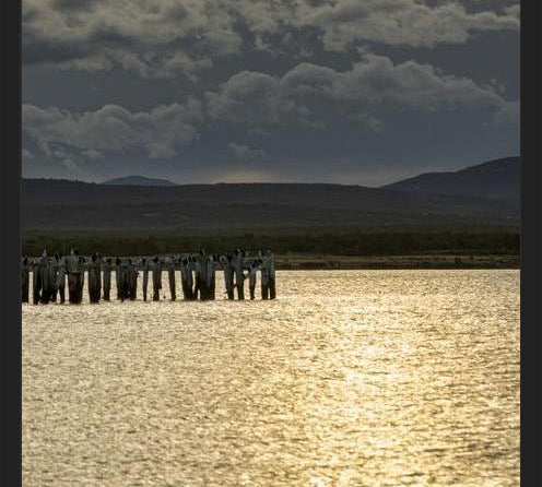 Cuadro Puerto Natales