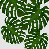 Canvas Monstera Leaf I
