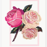 Cuadro Heirloom pink roses