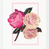 Cuadro Heirloom pink roses