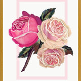 Cuadro Heirloom pink roses