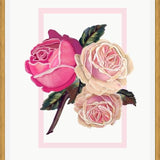 Cuadro Heirloom pink roses