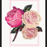 Cuadro Heirloom pink roses