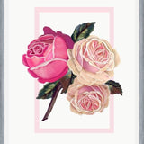 Cuadro Heirloom pink roses