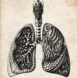 Canvas Victorian Anatomy