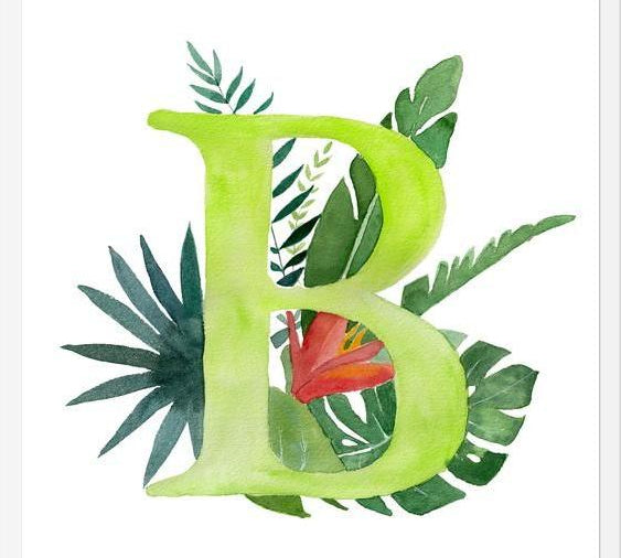 Cuadro Monograma B