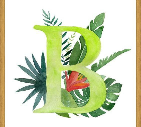 Cuadro Monograma B