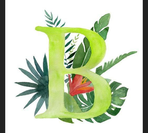 Cuadro Monograma B
