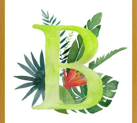 Cuadro Monograma B