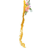Canvas Chile Map