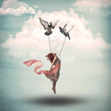 Canvas flight