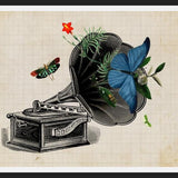 Cuadro Gramophone Vintage