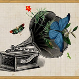 Cuadro Gramophone Vintage
