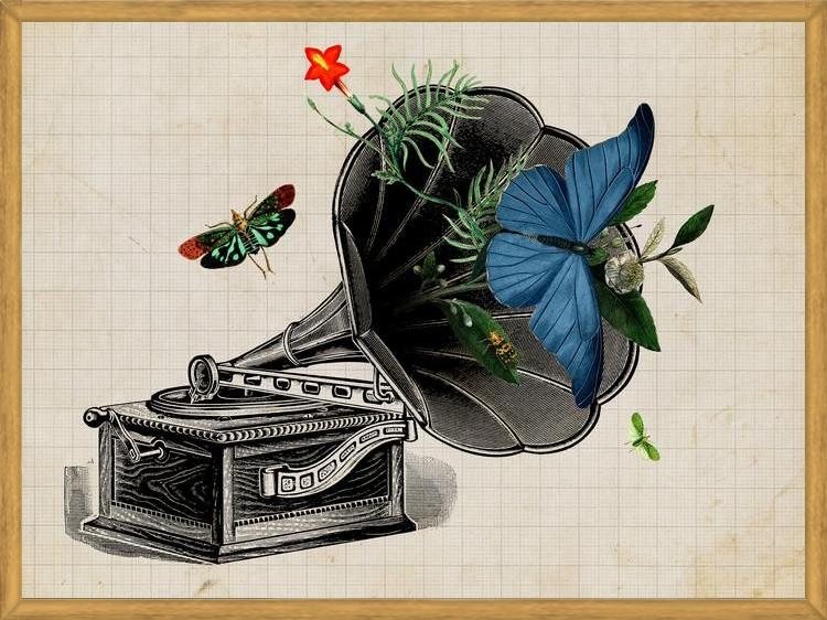 Cuadro Gramophone Vintage