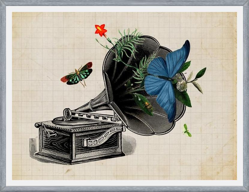 Cuadro Gramophone Vintage