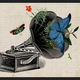 Cuadro Gramophone Vintage
