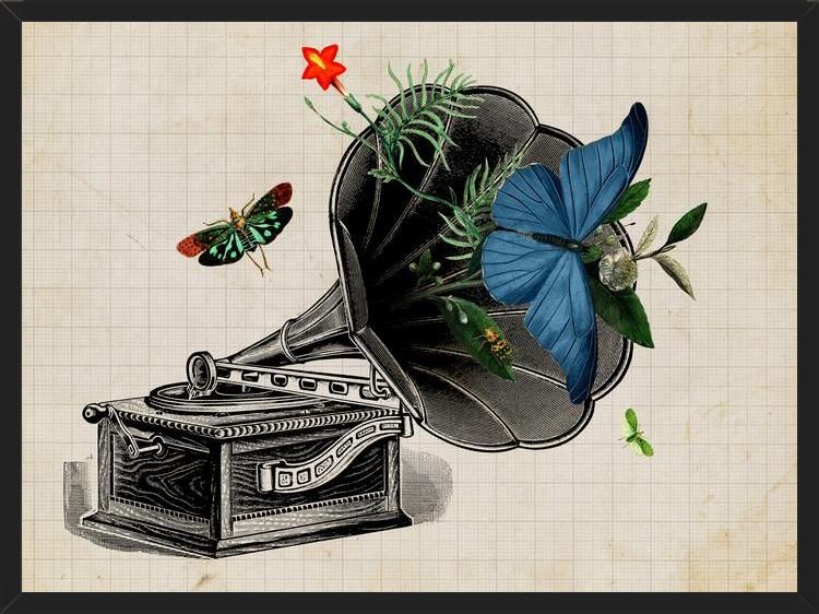 Cuadro Gramophone Vintage
