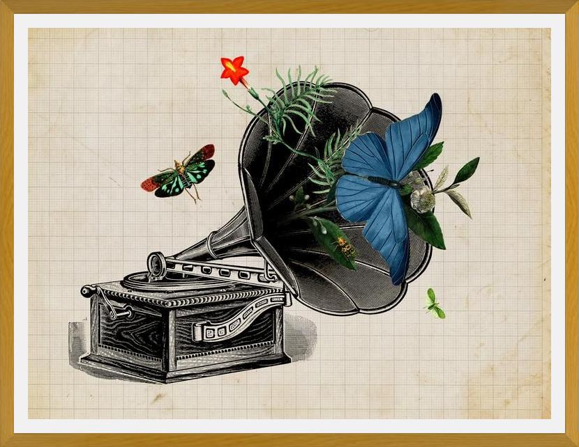 Cuadro Gramophone Vintage