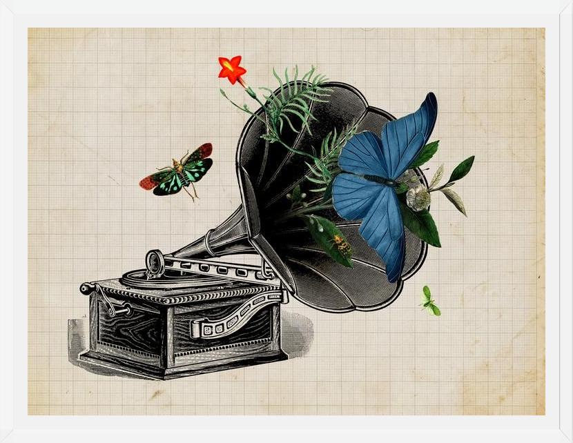 Cuadro Gramophone Vintage