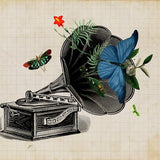 Canvas Gramophone Vintage