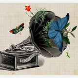Cuadro Gramophone Vintage