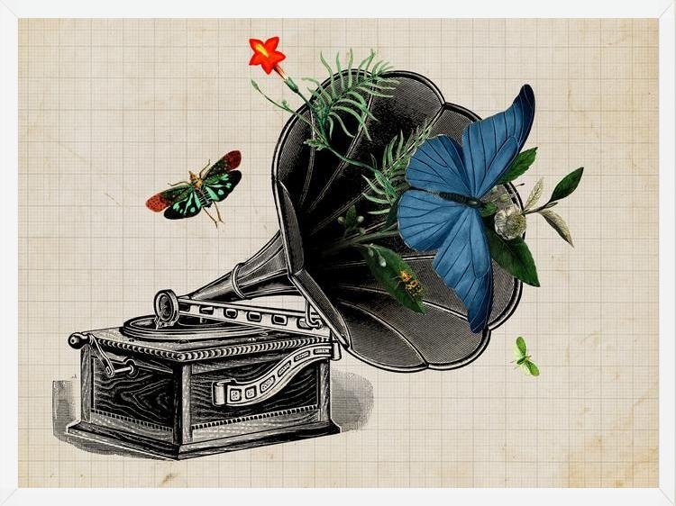 Cuadro Gramophone Vintage