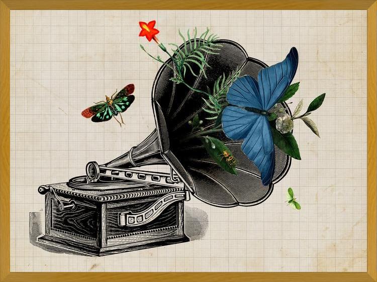 Cuadro Gramophone Vintage