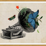 Cuadro Gramophone Vintage