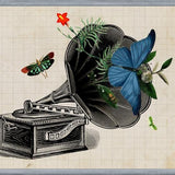 Cuadro Gramophone Vintage