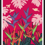 Cuadro plantas