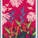 Cuadro plantas