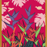 Cuadro plantas